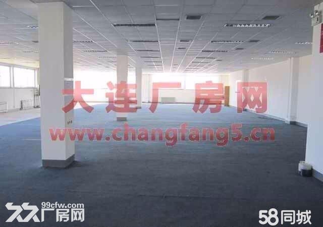 (出租)?大連開發(fā)區(qū)雙D港?數(shù)字3路17號?廠房?6813平米-圖(7)