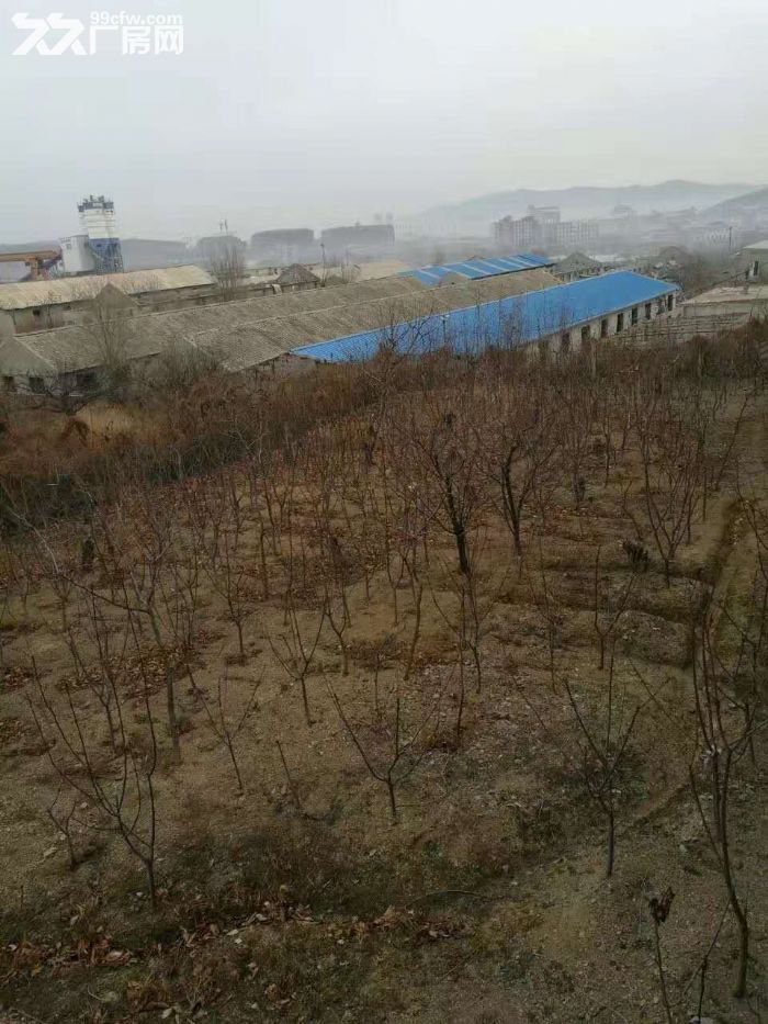 沈海高速石河出口附近廠房、莊園出租、轉讓-圖(2)