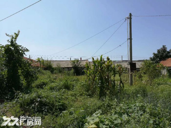 金普新區(qū)石河釣魚臺(tái)廠房出租-圖(2)