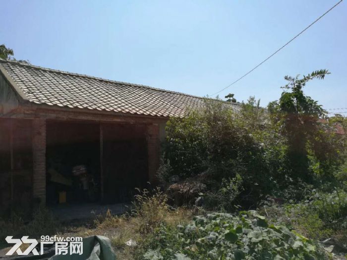 金普新區(qū)石河釣魚臺(tái)廠房出租-圖(3)