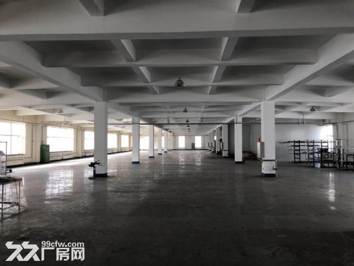 小孤山的廠房的出租出售-圖(3)