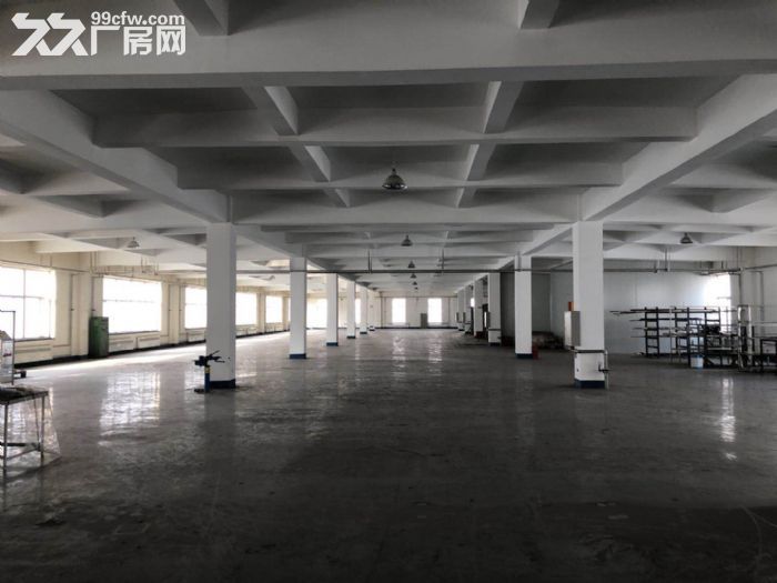小孤山的廠房出租出售-圖(3)