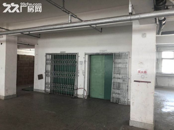 政府閑置廠房,優惠多多-圖(5)
