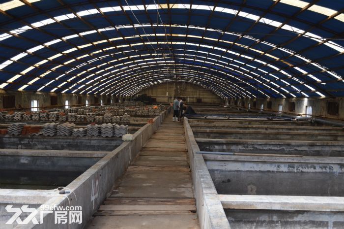 20000平廠房出售-圖（3）