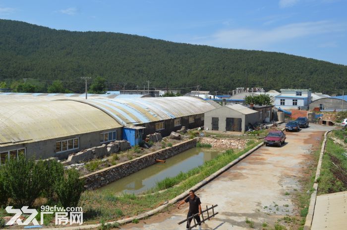 20000平廠房出售-圖（4）
