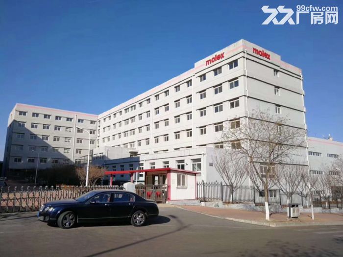 大連開發區莫萊克斯廠房出售 配套齊全 員工宿舍-圖(2)