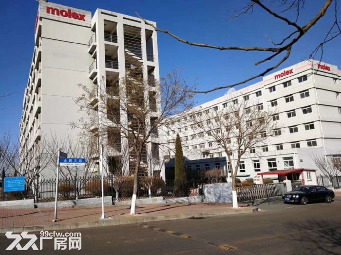 大連開發區莫萊克斯廠房出售 配套齊全 員工宿舍-圖(3)