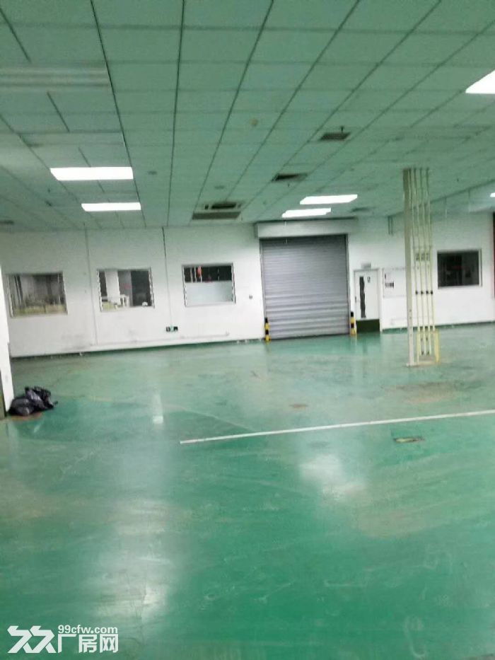 大連開發區莫萊克斯廠房出售 配套齊全 員工宿舍-圖(4)
