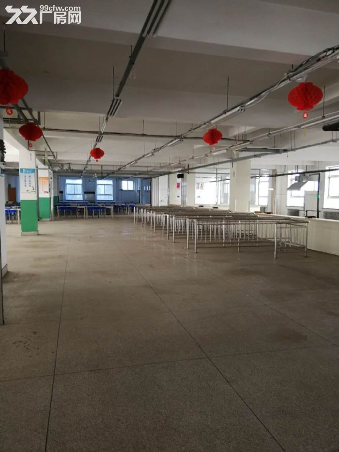 大連開發區莫萊克斯廠房出售 配套齊全 員工宿舍-圖(6)