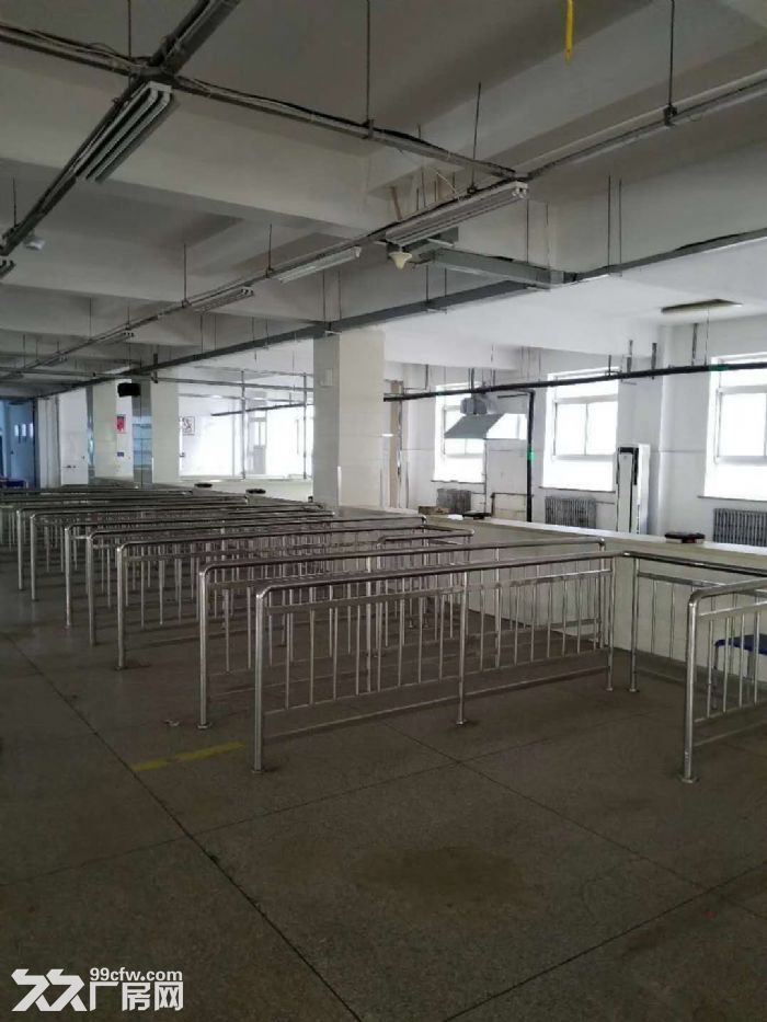 大連開發區莫萊克斯廠房出售 配套齊全 員工宿舍-圖(8)