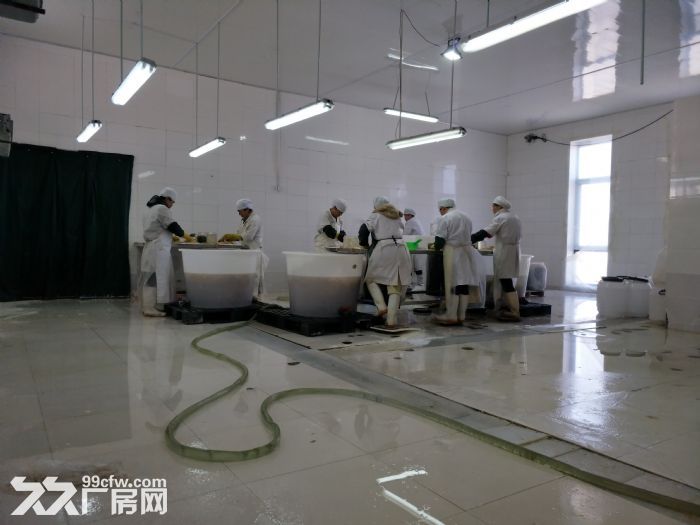 海蜇加工車間整體出售/轉讓-圖(2)