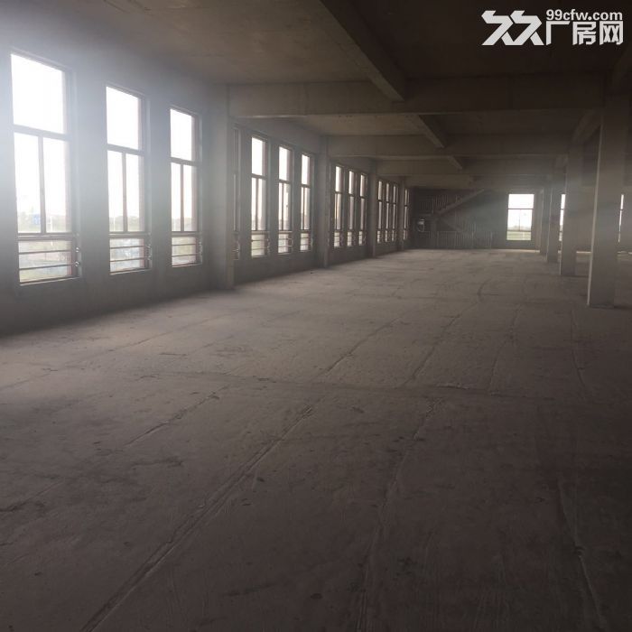 現房、獨棟、小面積、可環評、按揭層高10米標準廠房-圖（3）