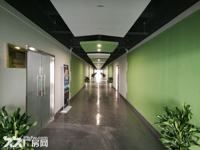 阜阳青网科技园打造阜阳最大的电商聚集地-图（1）