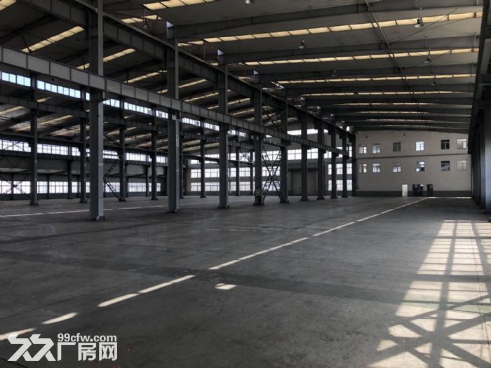 -圖(5)