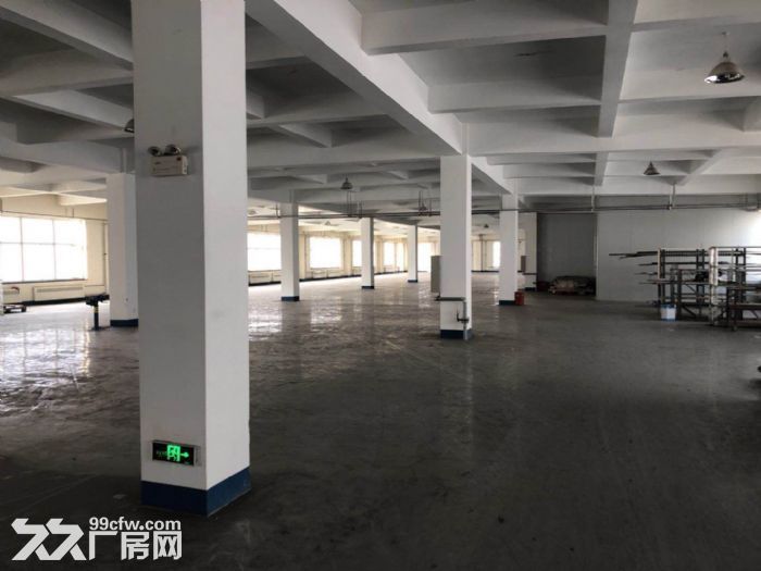 -圖(3)