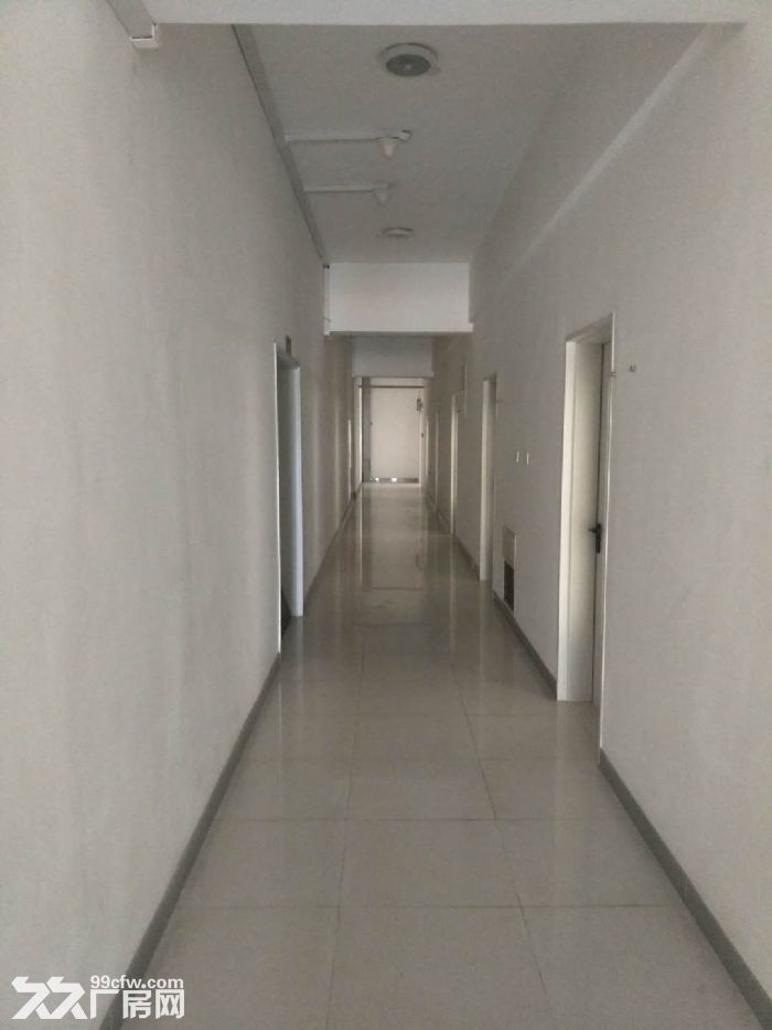 大連保稅區(qū)泰豪孵化基地為創(chuàng)業(yè),需求廠房人士提供誠(chéng)信的選擇-圖(5)