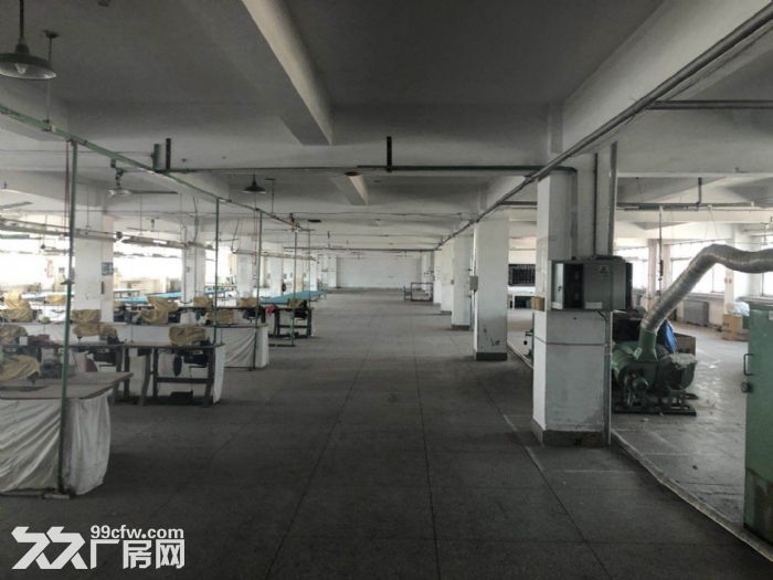 大連保稅區泰豪孵化基地為創業,需求廠房人士提供誠信-圖(8)