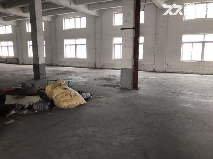 -圖(7)