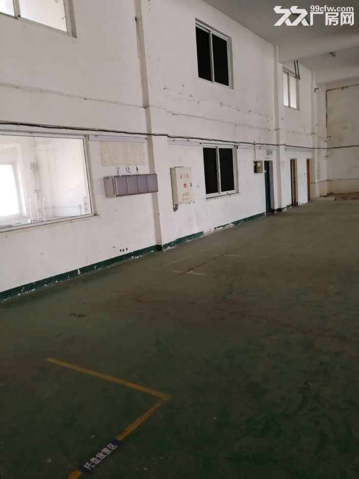 -圖(3)