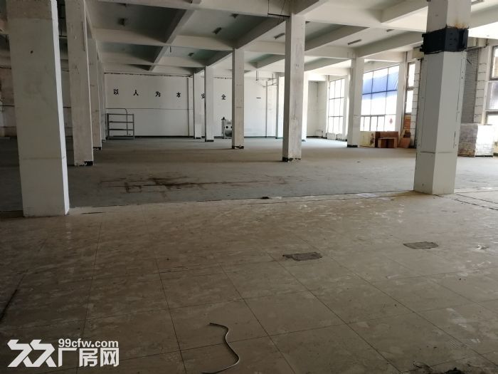 -圖(4)