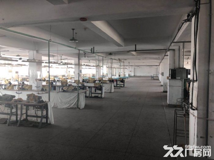 大連保稅區泰豪創業孵化基地?新廠房出租信息-圖(6)