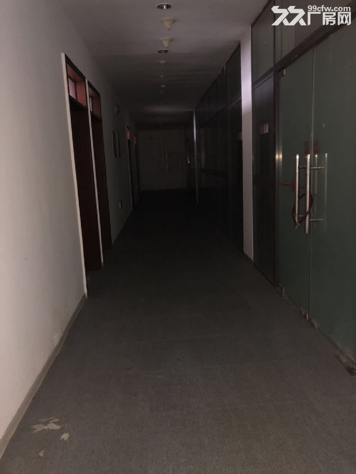 -圖(7)