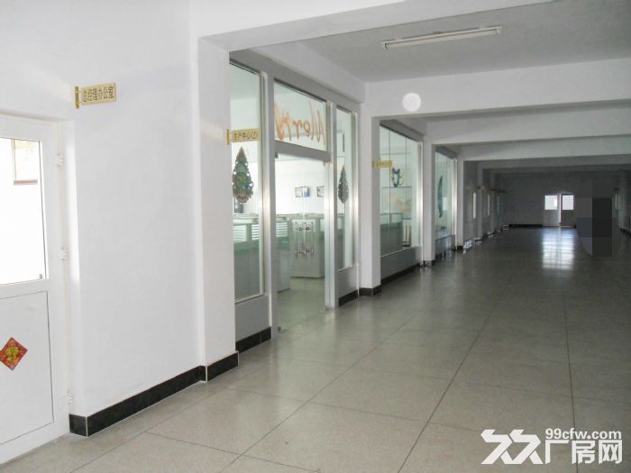 大型肉制品加工廠房設備對外出租,也可合作-圖(4)