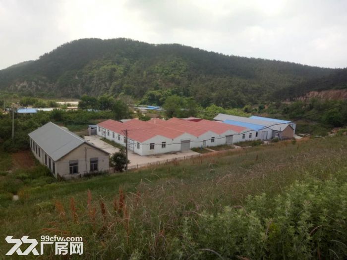 旅順口區廠房出租價格面議-圖(1)