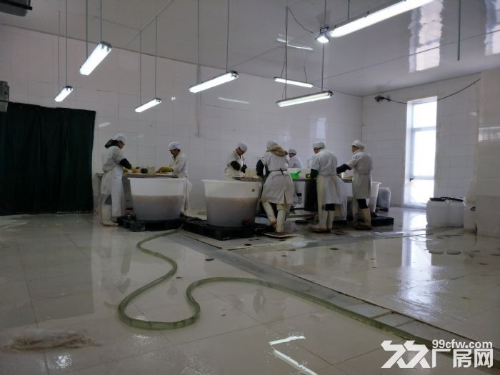 海蜇加工車間出售/轉讓-圖(2)