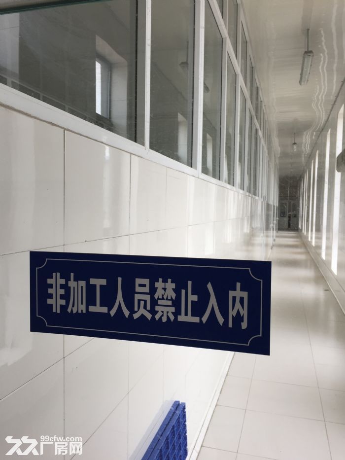 海蜇加工車間出售/轉讓-圖(3)