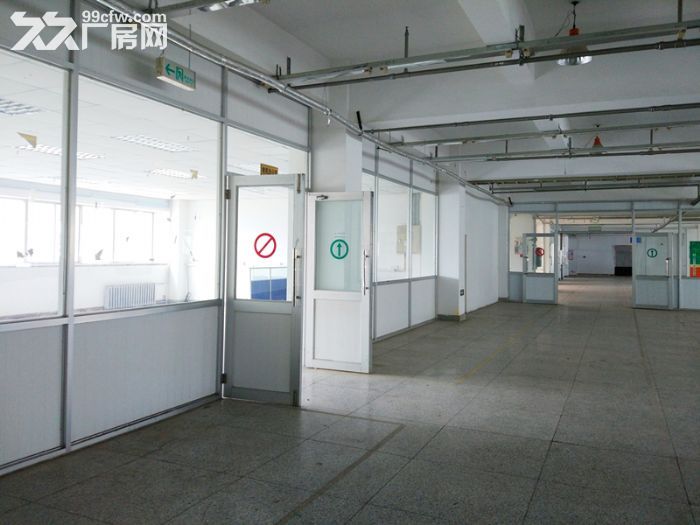 保稅區標準廠房1850平,二樓,可分租-圖(7)