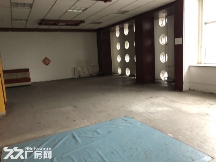大連保稅區泰豪創業孵化基地,新出爐的廠房-圖(5)
