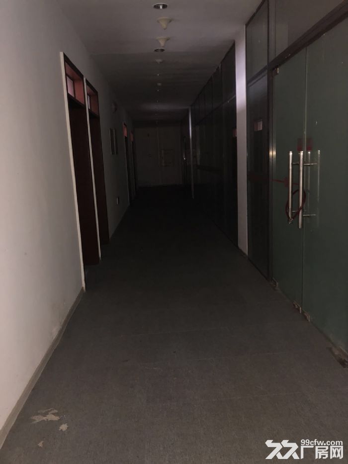 大連保稅區泰豪創業孵化基地,新出爐的廠房-圖(6)