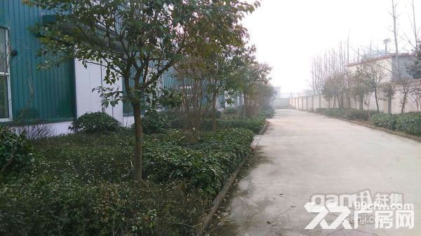 郯城gdp_郯城美澳学校