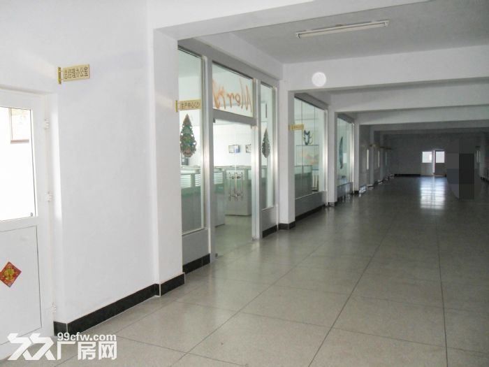瓦房店大型廠房土地對外出租轉讓-圖(2)
