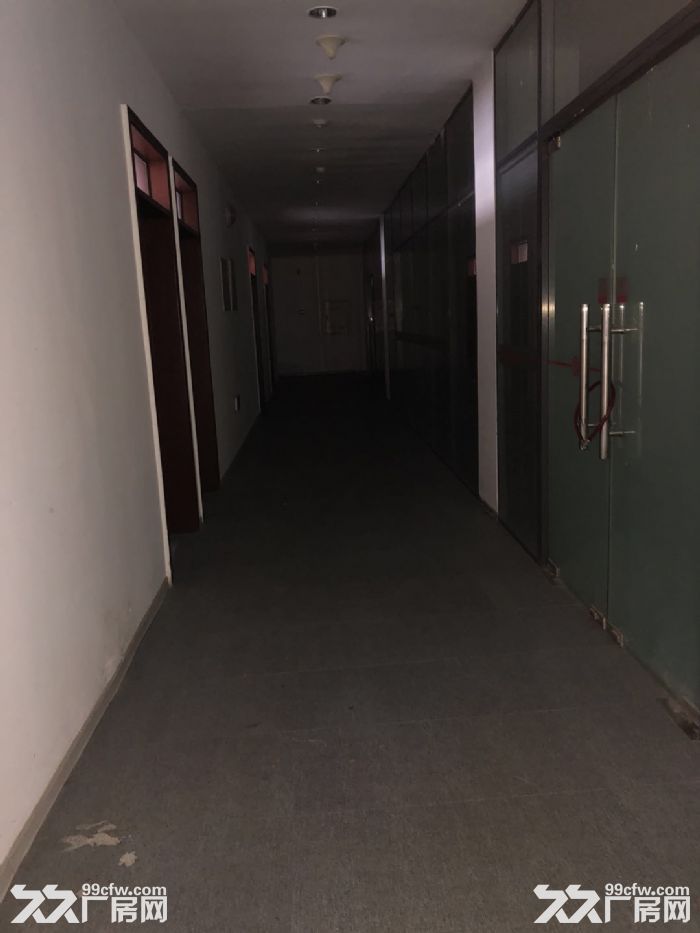 保稅區廠房出租信息發布-圖(4)