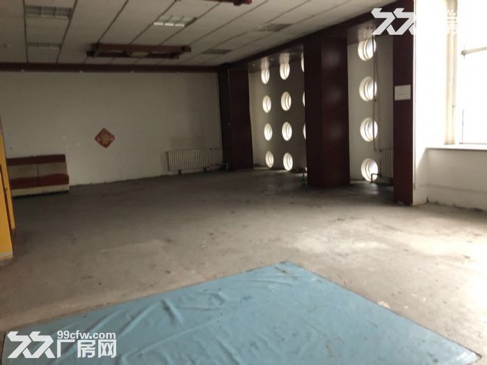 保稅區廠房出租信息發布-圖(6)