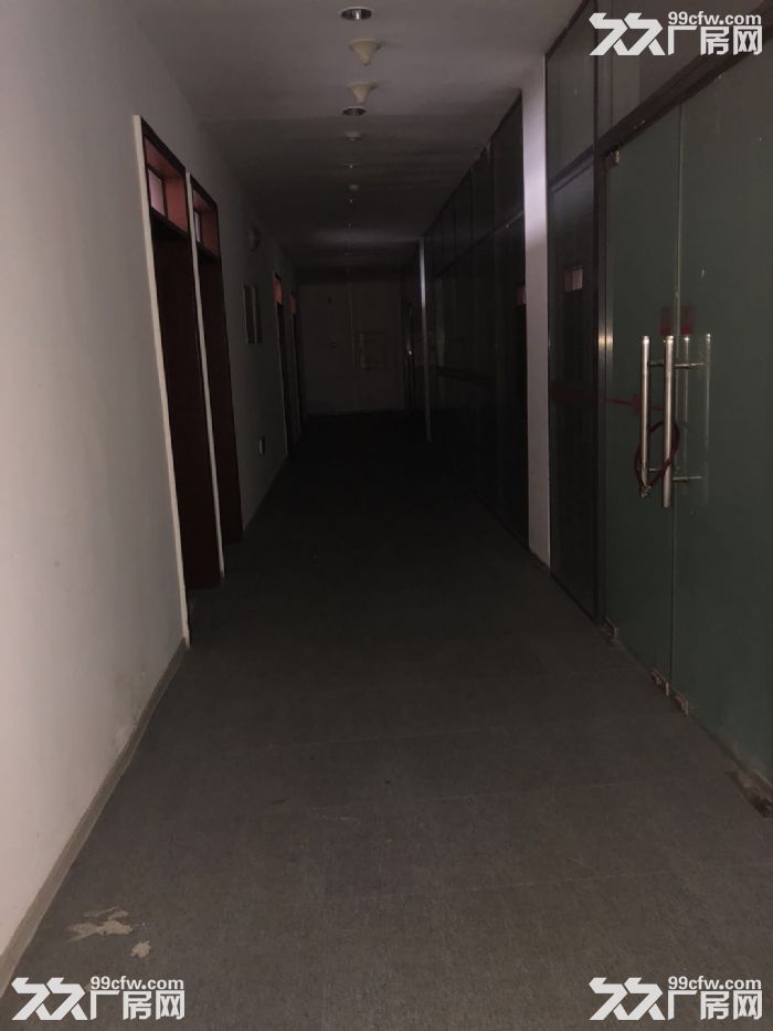 廠房出租,有意者打電話咨詢-圖(4)