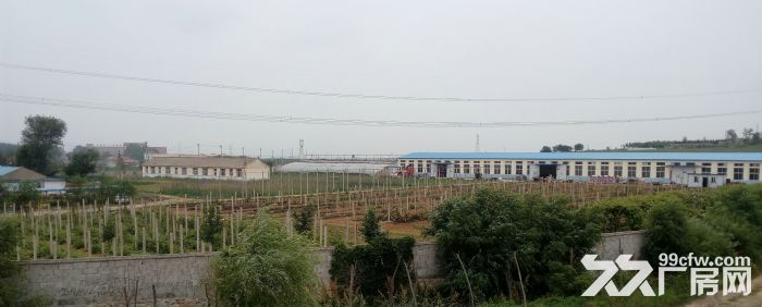 金州華家廠房土地出售-圖(1)