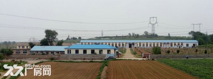 金州華家廠房土地出售-圖(3)