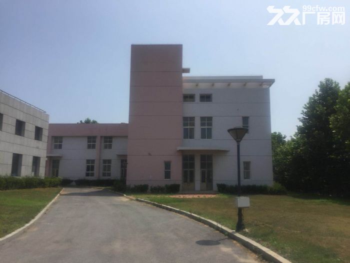 保稅區廠房適合服裝食品加工倉儲-圖(1)