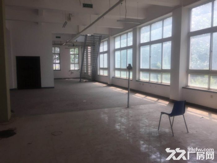 保稅區廠房適合服裝食品加工倉儲-圖(2)