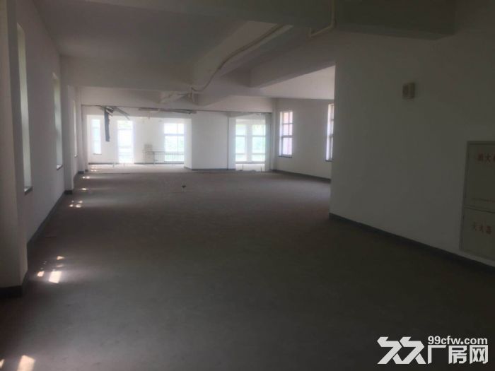 保稅區廠房適合服裝食品加工倉儲-圖(3)