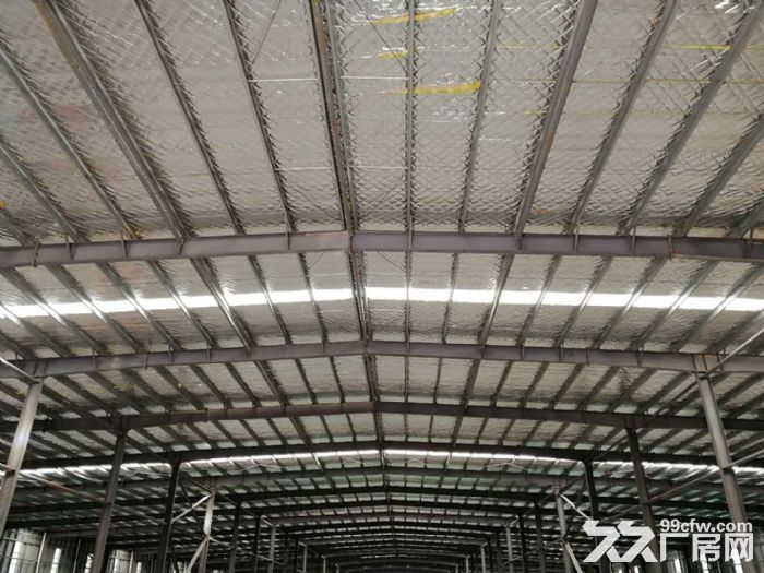 連云港全新超大面積廠房出租、生產(chǎn)、倉儲(chǔ)、辦公、電商、物流均可-圖（5）