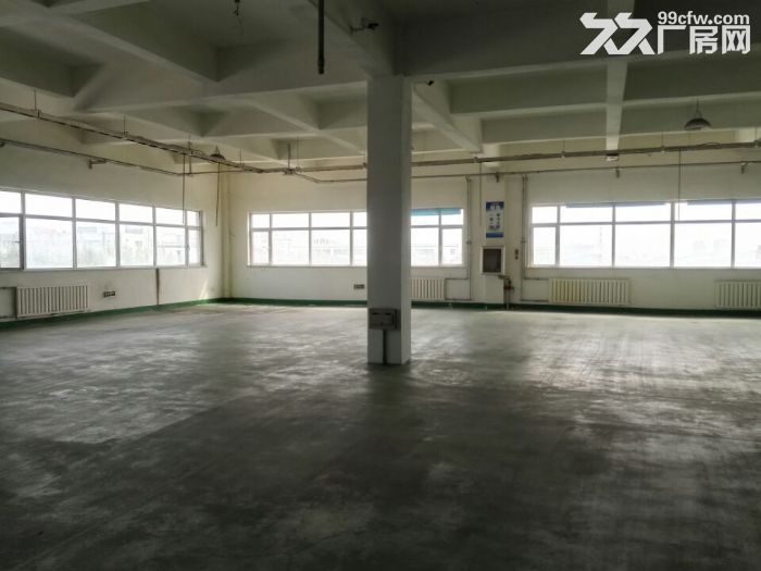 松嵐工業園附近900-1700米廠房分租-圖(2)