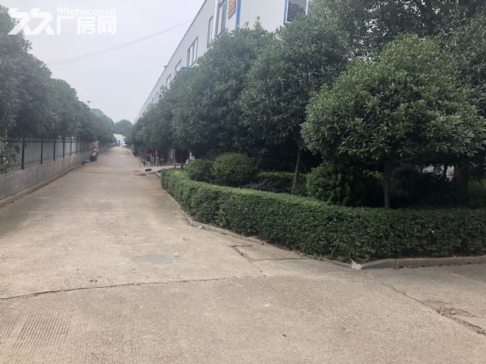 安沙恒广物流对面1500平方厂房出租