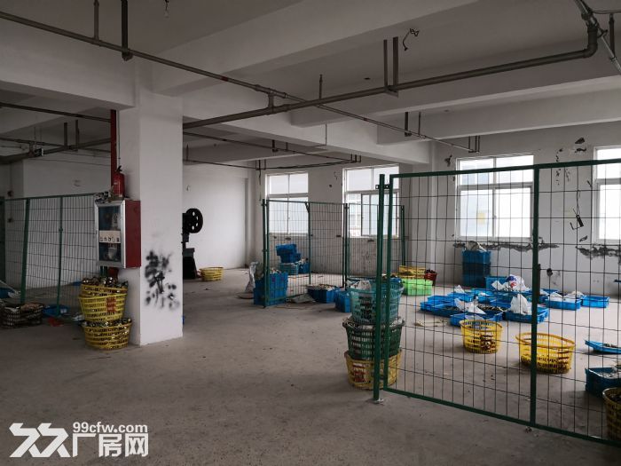 仙岩工业区标准厂房10000平方68适合各行各业