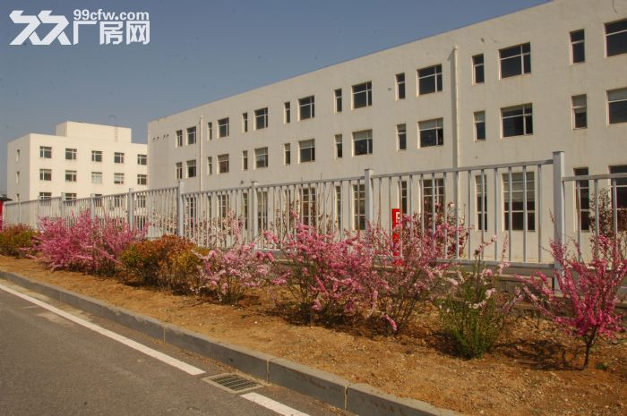 出售廠房辦公樓、綜合樓兩棟-圖（1）