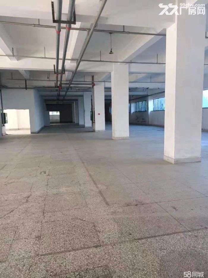 開發區保稅區廠房,倉庫(出售,公司注冊,辦理證件,-圖(2)
