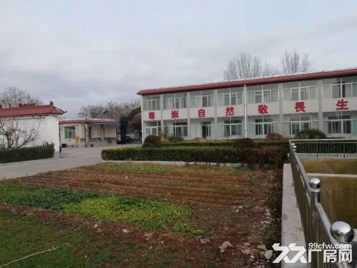 临淄王庄煤矿附近王家工业园厂房